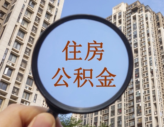 双峰退休后查不到公积金明细了吗（退休后公积金查询不到原因）